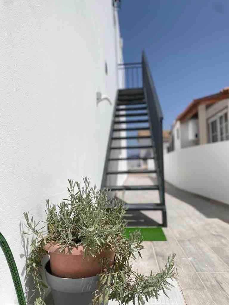 Casa Ramiro T2 Paradisiaco Entre O Mar E A Ria Ilha da Culatra Екстериор снимка
